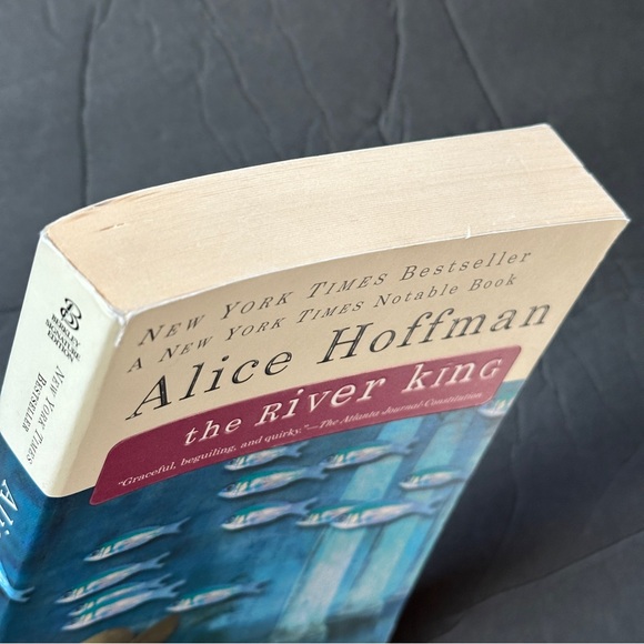 2 BOOK BUNDLE by Alice Hoffman | Fiction | Paperback Book (s) - Picture 7 of 9